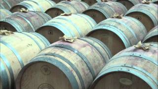 Bodega Tinto Pesquera en Ribera del Duero