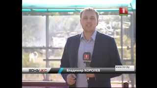 Зверское убийство попало на камеру видеонаблюдения в Минске