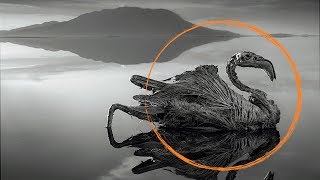 САМОЕ СТРАННОЕ ОЗЕРО В МИРЕ