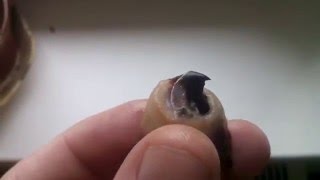 Нашли ГОМУНКУЛА настоящего, ОЧЕНЬ мерзкое. Смотрите до конца.