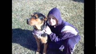 In Loving Memory... Nikita