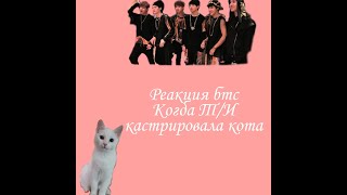 Реакция бтс на Т/и"Т/И кастрировала кота?"