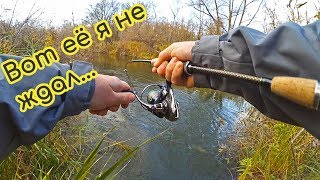 Щука на маленькую вертушку. Рыбалка на красивой реке 2017