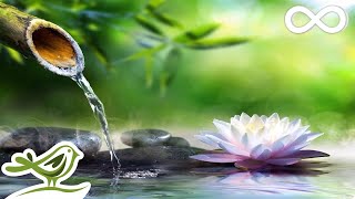8 Hours of Relaxing Sleep Music: Sleeping Music, Relaxing Music, Fall Asleep Fast ★47?