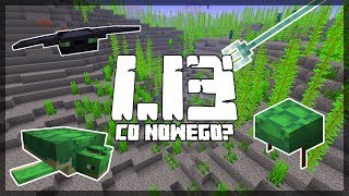 Minecraft 1.13: [Snapshot 18w07a] Co Nowego? Żółwie, Phantom, Trójząb, Wodorosty, Nowe Bloki!
