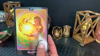 TAURUS - BREAKING THE SPELL?Stay Focused On The Prize Taurus! ?FEBRUARY 2020
