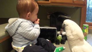 Cockatoo and Baby share snacks 4 15 11