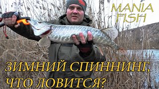 ЗИМНИЙ СПИННИНГ, ЧТО ЛОВИТСЯ?