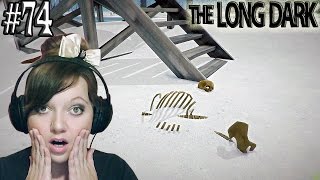 Плохая погода,пещера,вышка-The Long Dark #74