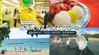 ?‍?‍?‍? 10명의 가족과 함께 떠난 하와이 VLOG 2?｜#하와이 #파인애플농장 #지오반니새우트럭 #푸푸케아비치