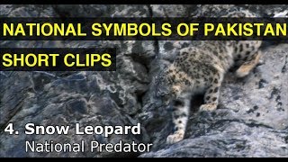 National Symbols of Pakistan - Compiled Short Clips