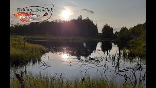 Решили покидать спиннинг на болоте. Что было дальше. (fishing on the swamp)
