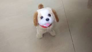 Fantastic Jumping Puppy Toy