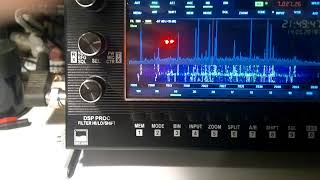 SDR TRX Tulip