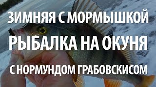 ЛОВЛЯ ОКУНЯ ЗИМОЙ на МОРМЫШКУ. НА РЫБАЛКЕ НОРМУНД ГРАБОВСКИС в ЯНВАРЕ