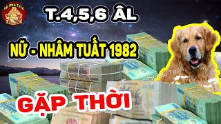 Nhâm Tuất 1982 Nữ Mạng Ôm Tiền Tỷ Về Nhà Nếu Biết Điều Này Trong Tháng 4 5 6 ÂL