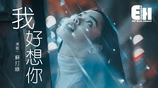 蘇打綠 - 我好想你『我好想你 好想你，卻欺騙自己。』【動態歌詞Lyrics】