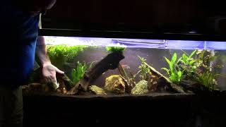 Uniterupted Water Change On My 125 Gallon Planted Tank