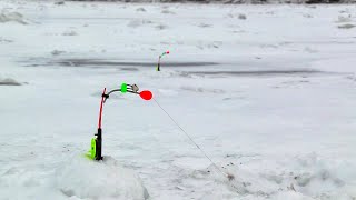 БЕШЕНЫЙ КЛЕВ НА КОМБАЙНЫ! Рыбалка 2020! ЛОВЛЯ ЛЕЩА ЗИМОЙ!