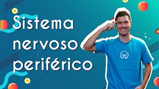 Sistema nervoso periférico - Brasil Escola
