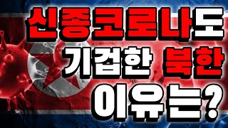 [ENG/CN SUB] 신종 코로나바이러스. 한국과 중국과는 다른 북한만의 강점들