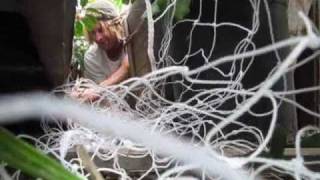 Eldad, George and Mark rescuing a wild puppy - please subscribe (By Eldad Hagar)