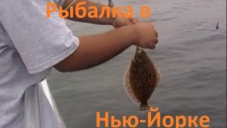 Диалоги о рыбалке - 171- Рыбалка в Америке, Нью-йорк.