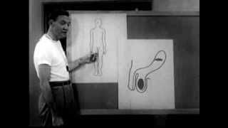 As Boys Grow... (1957)