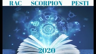 RAC, SCORPION, PESTI IN ANUL 2020 - ZODII SI ASCENDENT DE APA - Astrolog Laura Hagiu
