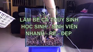 Hướng dẫn làm bể cá thủy sinh dành cho học sinh, sinh viên