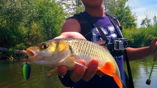 UL Fishing III