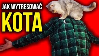 Jak wytresować kota?