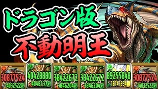 奇跡と不運の連発！？ティガレックス使ってみた！【パズドラ】