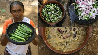 വെണ്ടക്ക ഇങ്ങനെ കറി വെച്ചിട്ടുണ്ടോ അടിപൊളി രുചിയാണ് | Lady Finger Curry