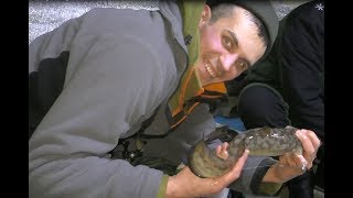 рыбалка 2019 две ночи на льду в палатке лещ сорога окунь налим