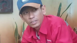 Hot Tips Ampuh Basmi Rayap dengan Umpan