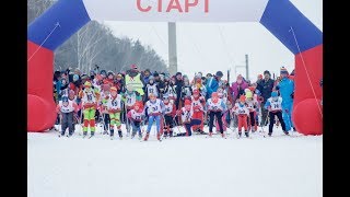 Участие в Шибаловской лыжне, город Кольчугино