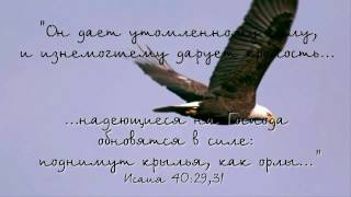 Христианская песня - Дай мне крылья как у орла(love of Christ)
