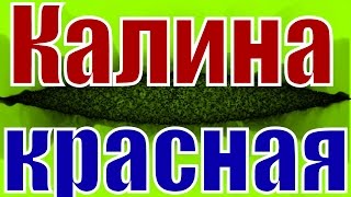 Песня Калина красная русская народная русские народные песни