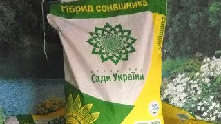 Посевмат подсолнуха на 2018 г "Анастасия" "Бомбардиер" от компании "Сады Украины" #СельхозТехника ТВ