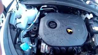 KIA Sportage 2014. Избыточное давление в клапанной крышке двигателей семейства Nu 2.0 (G4NA)