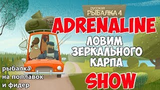 Русская Рыбалка 4 - Трофейный зеркальный карп. Рыбалка на пикеры и поплавок.