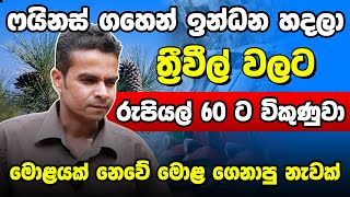 මොළයක් නෙවේ මොළ ගෙනාපු නැවක් | Vikum Sampath Dibulgastenna |