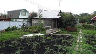 Сад в садовом товариществе "Березка 1"
