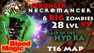 Path Of Exile 3.0 Necromancer Baron 1200 Strength 28 lvl Zombies Blood Magic - Hydra kill