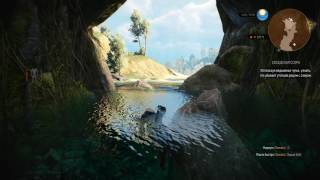 ДОСПЕХИ ШКОЛЫ КОТА 3 The Witcher 3: Wild Hunt #72