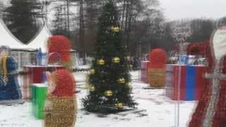 Новогодние сокольники