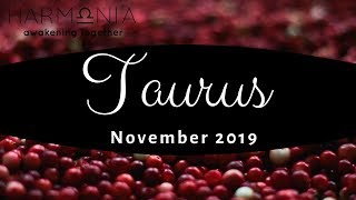 TAURUS NOV 2019 TAROT | Focusing On You, Calls In Love! | MONTHLY READING
