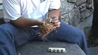 How to start fire without matches using hand drill