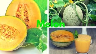 7 Beneficios del Melon - Vitaminas Importantes para la Salud